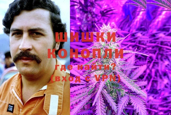 стафф Аркадак