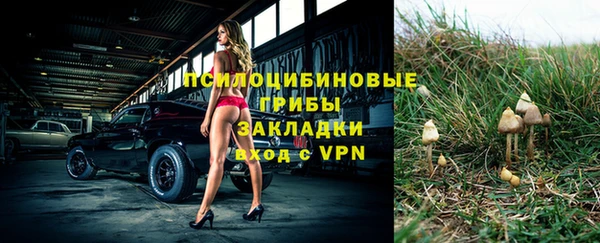 apvp Арсеньев