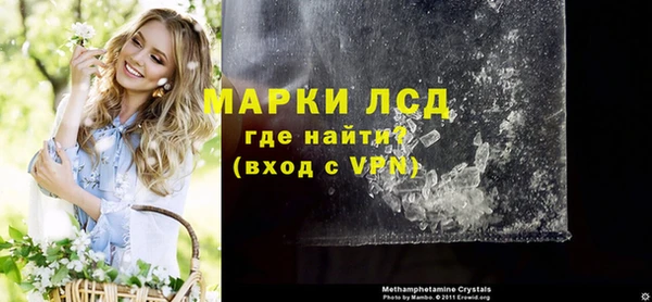 стафф Аркадак