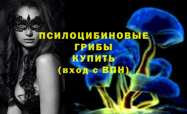 альфа пвп Богородицк