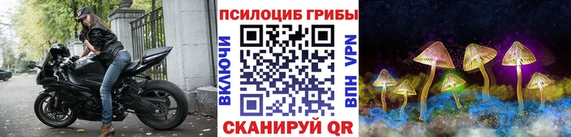 купить закладку Лукоянов Псилоцибиновые грибы GOLDEN TEACHER